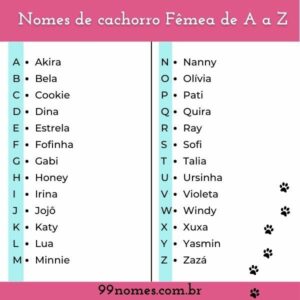 +197 Nomes De Cachorro Fêmea De A A Z – 99 Nomes